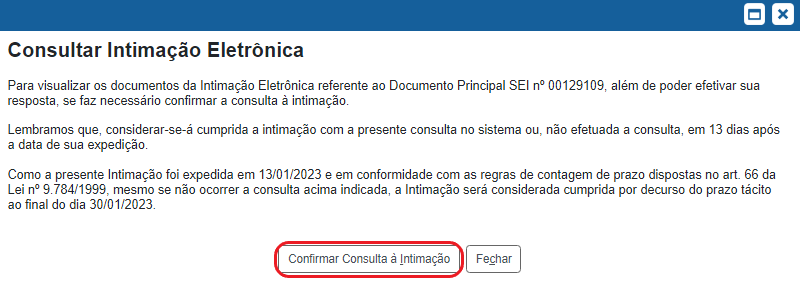 Confirmar Intimação