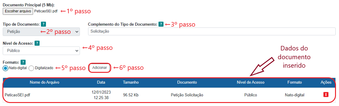 Formato de documento externo